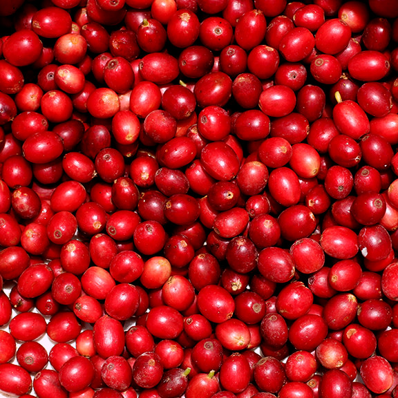 Brazil Caconde Serra do Cigano Valley