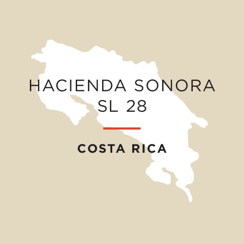 Hacienda Sonora SL-28