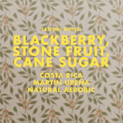 Costa Rica Martin Ureña