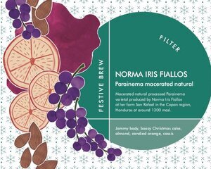 Festive Brew by Norma Iris Fiallos