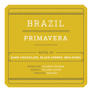 Brazil Primavera
