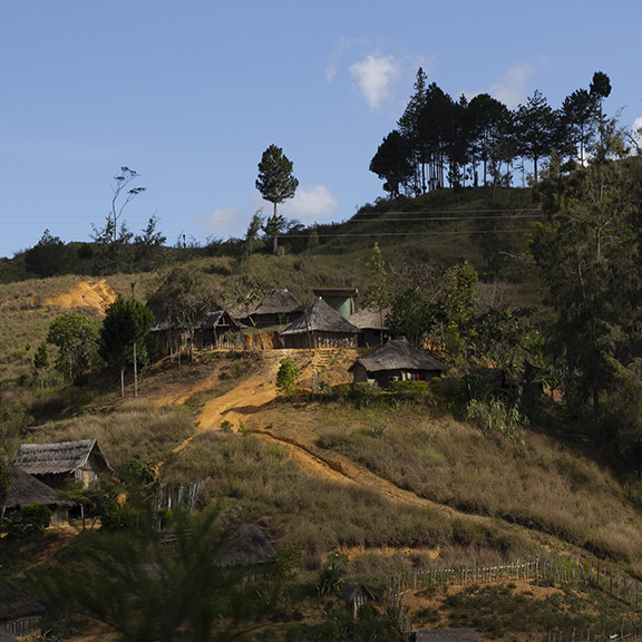 Papua New Guinea Eastern Highlands Baroida Estate