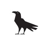 Corvus Coffee Roasters