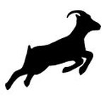 Kaldi's Coffee Roasting Co.